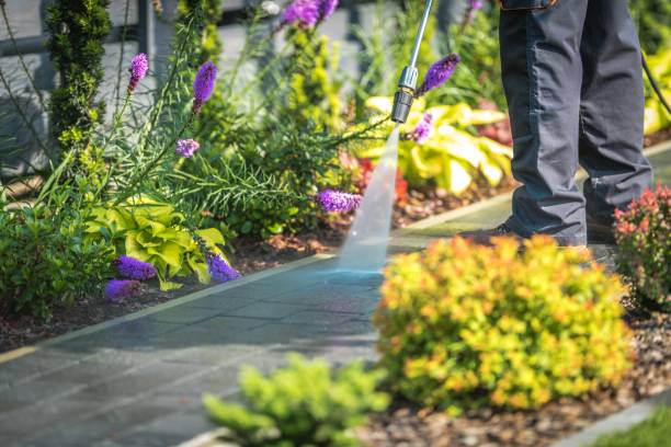 Trusted Harleysville, PA Pressure Washing Experts